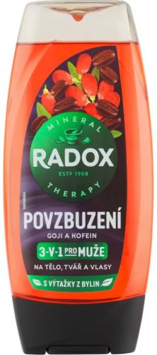 Radox sprchov gel Men 3v1 Povzbuzen Goji a Kofein 225 ml